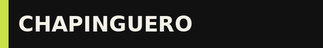 Chapinguero — studio SEO i Ads w Rzeszowie